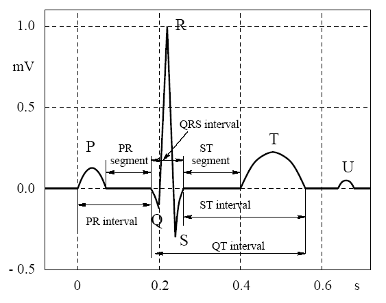 سیگنال قلبی