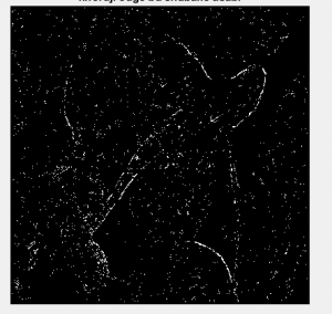 تشخیص لبه مبتنی بر شبکه عصبی