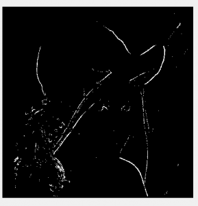 تصاویر راداری قطبی