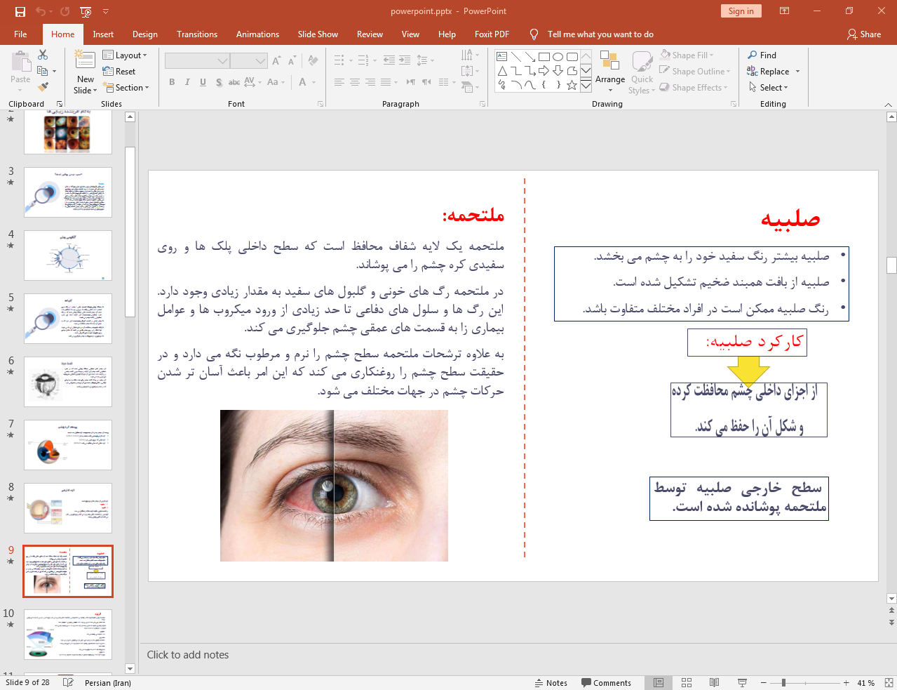 آناتومی چشم
