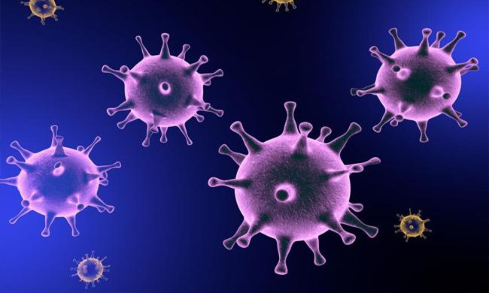 استرس کرونا