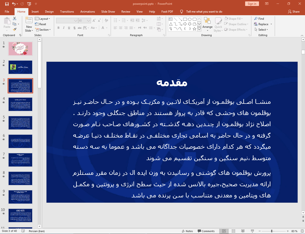 بوقلمون