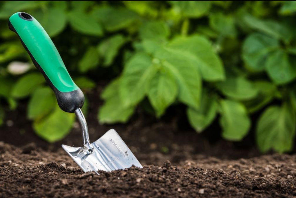 روش های مدیریت تلفیقی آفات کشاورزی