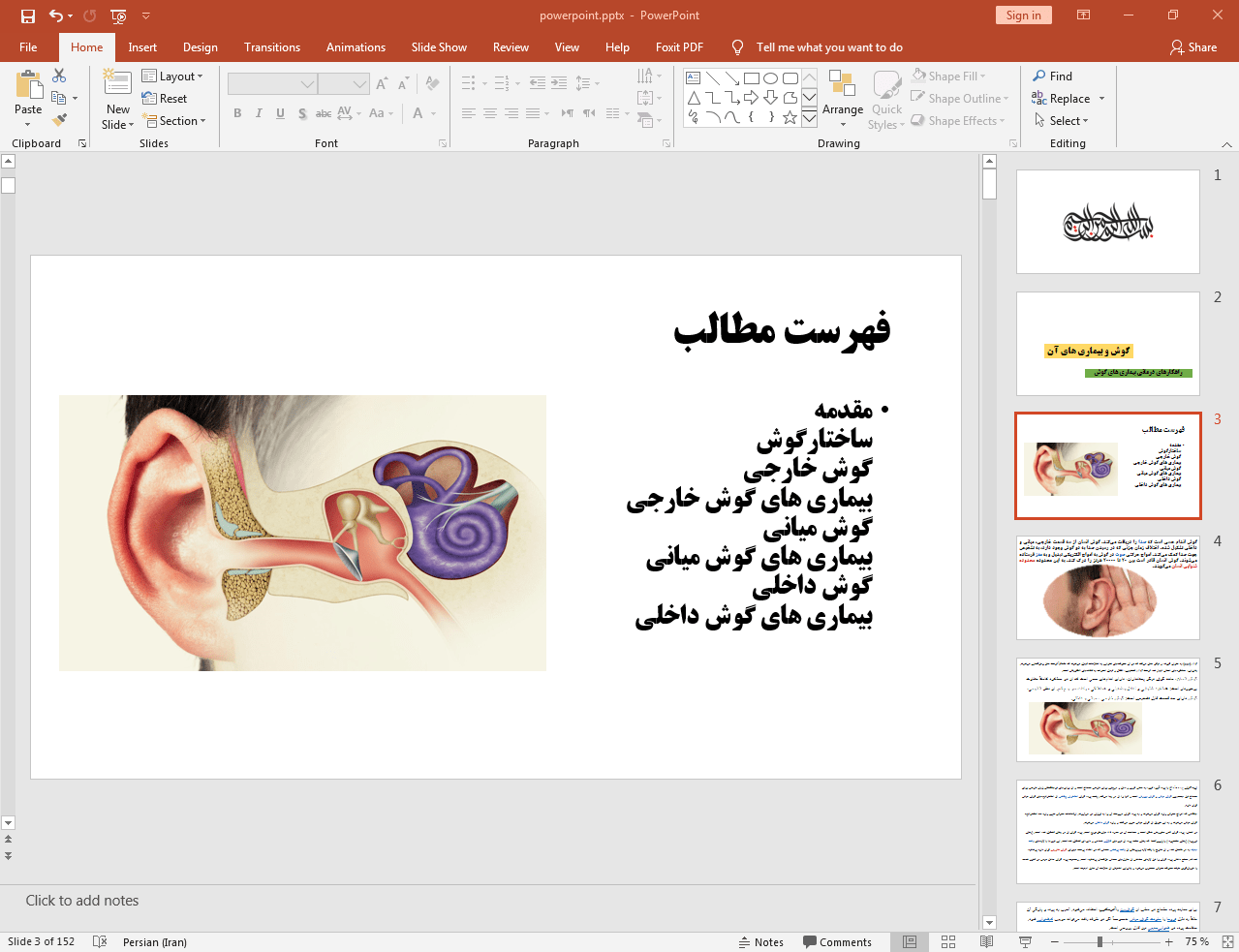 ساختار گوش