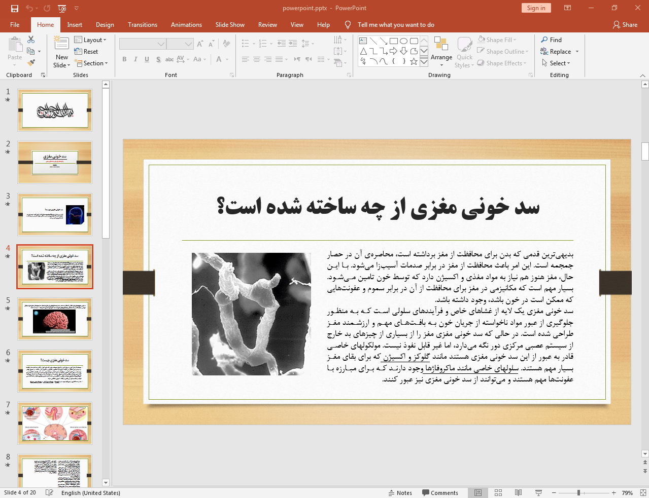 سد خونی مغزی از چه ساخته شده است