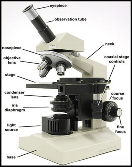 میکروسکوپ الکترونی
