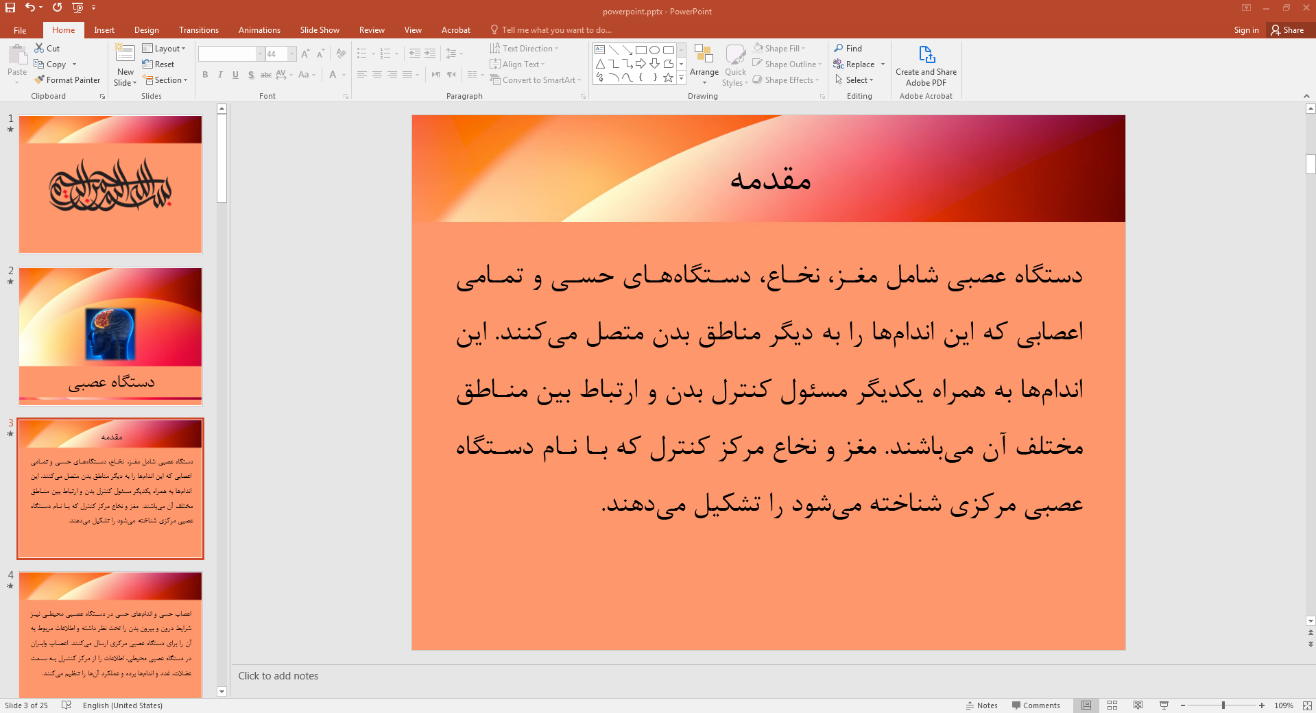 دستگاه عصبی انسان