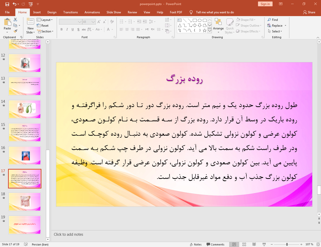 روده بزرگ