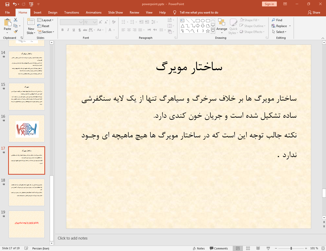 ساختار مویرگ