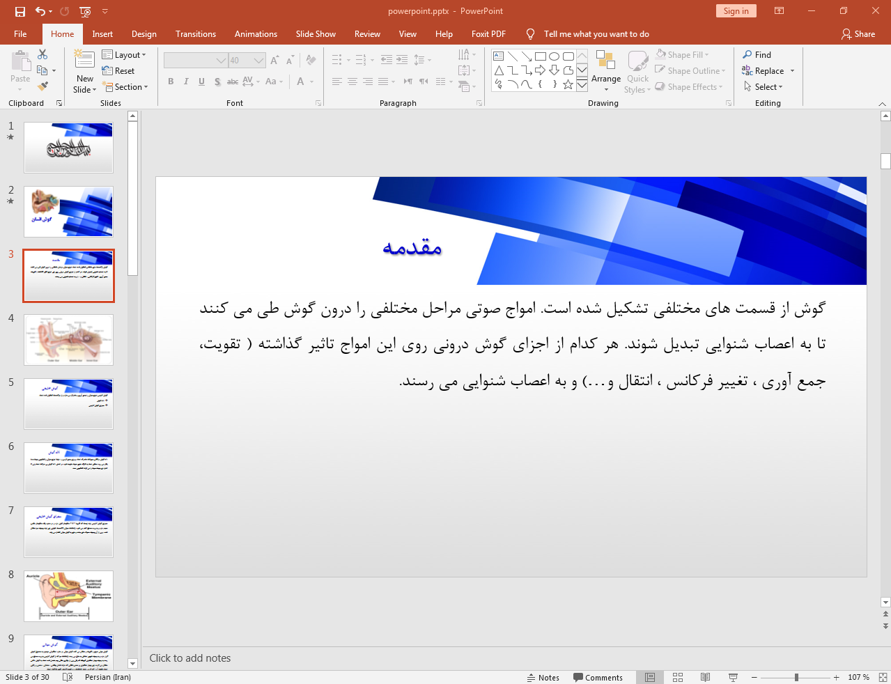 ساختار گوش انسان