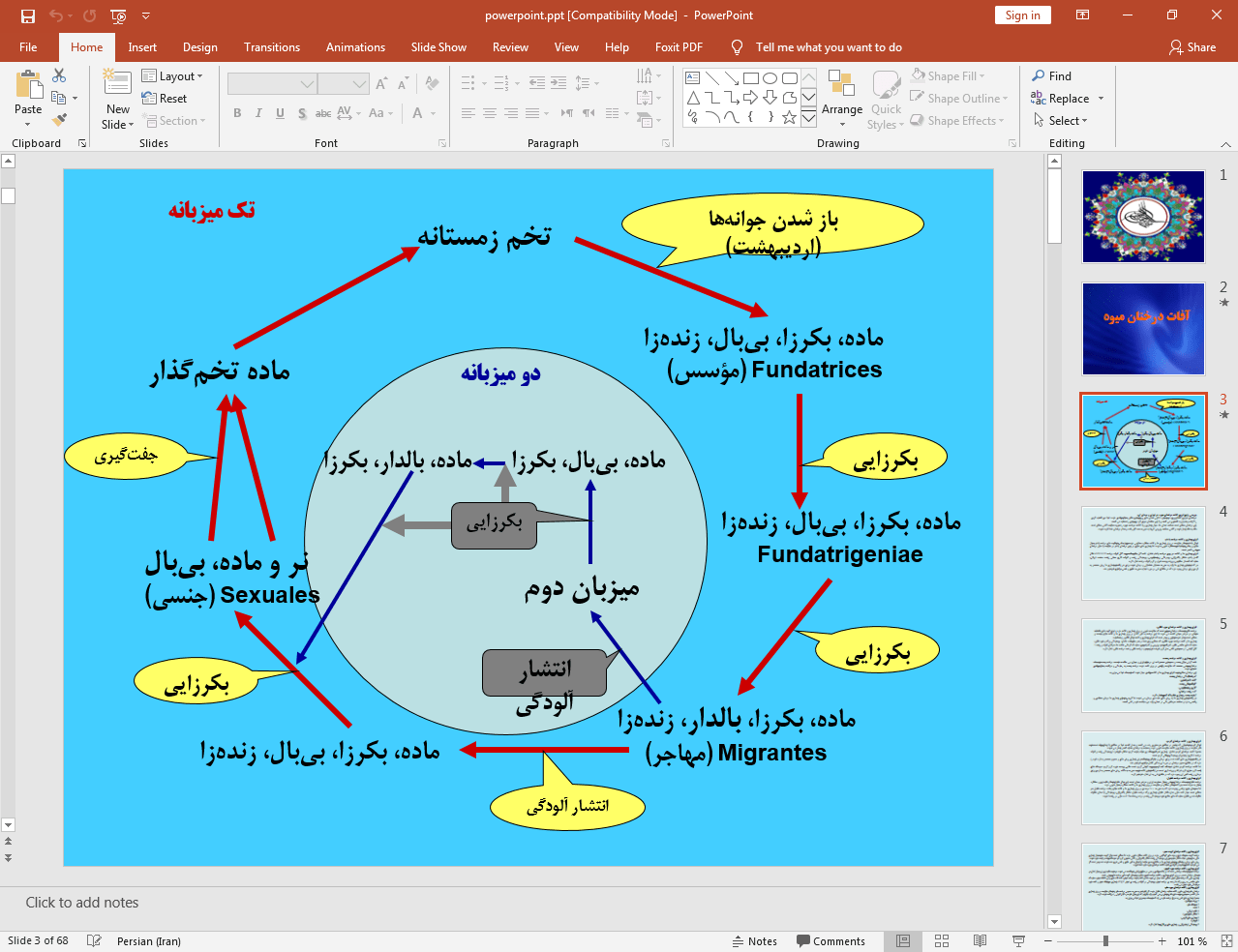 آفات درختان میوه