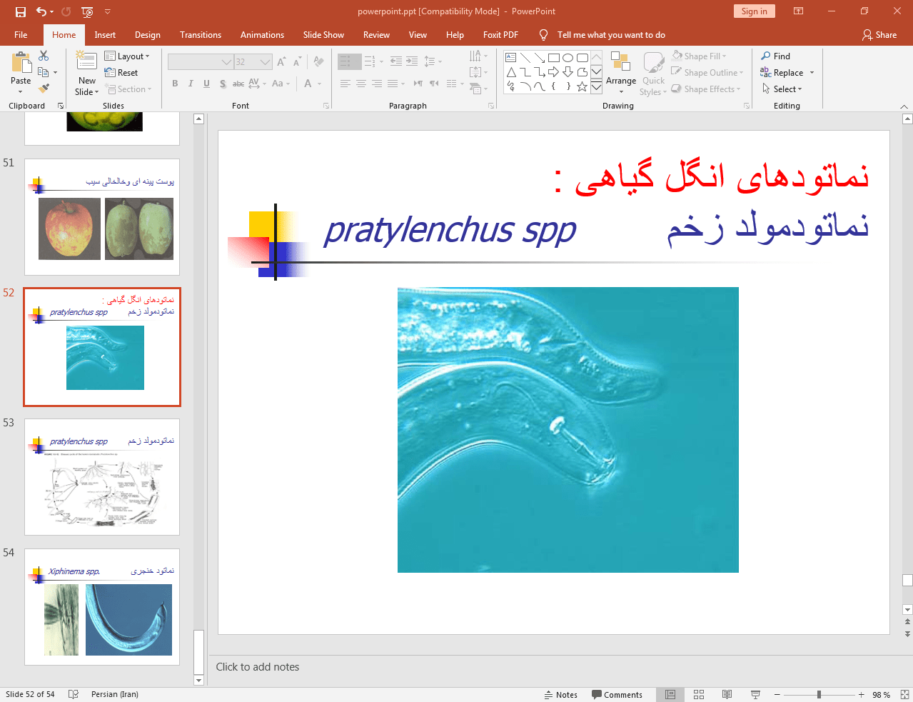 انگل گیاهی
