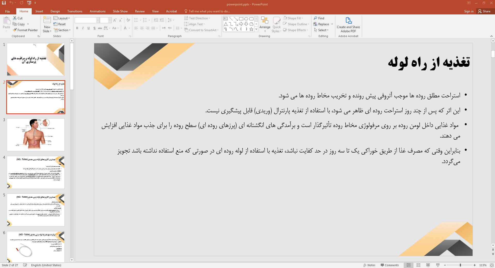تغذیه از راه لوله