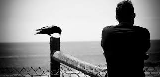 تنهایی اجتماعی