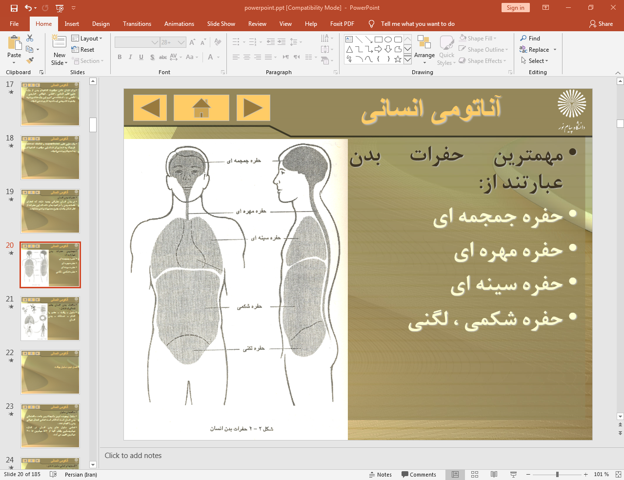 حفرات بدن