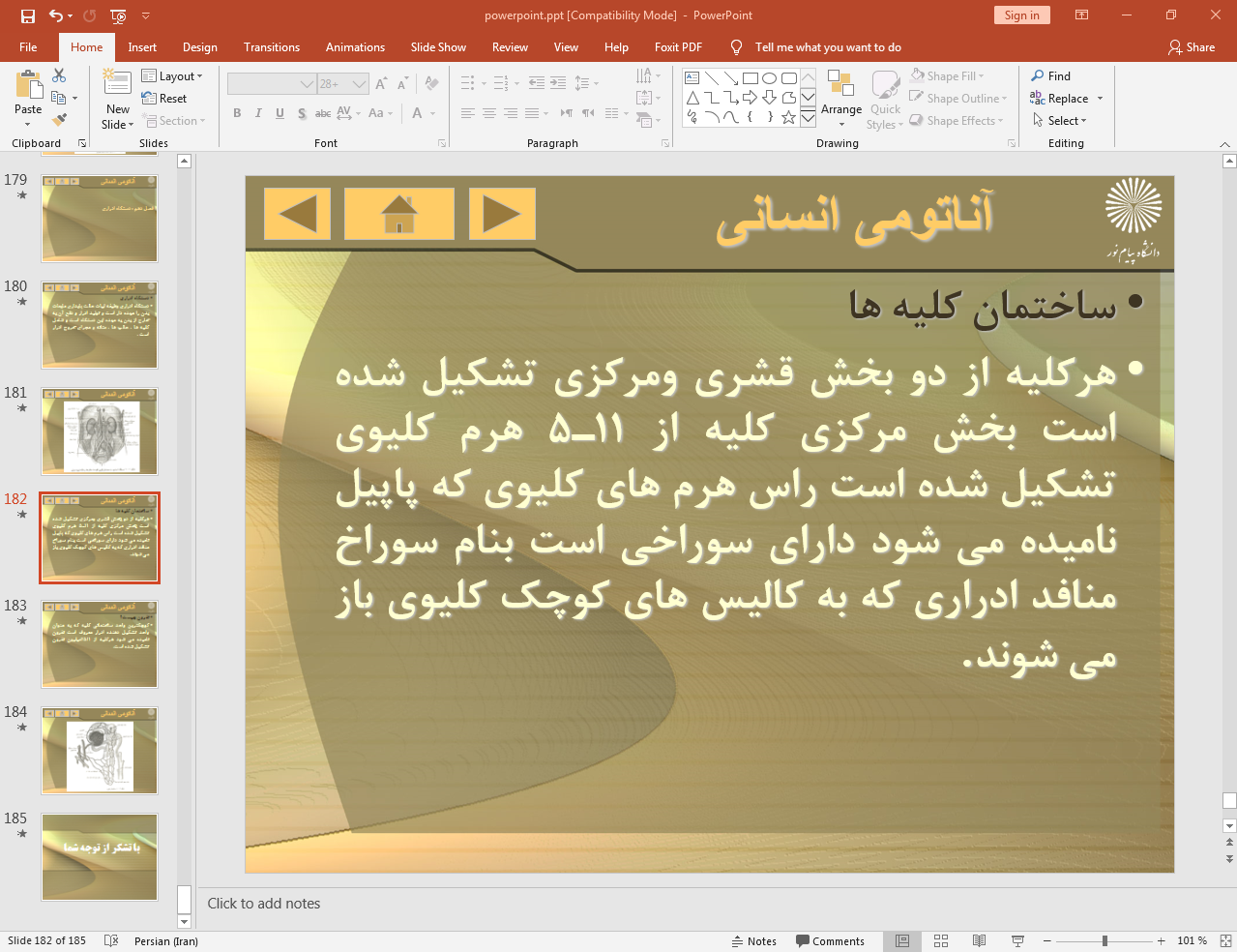 ساختمان کلیه ها