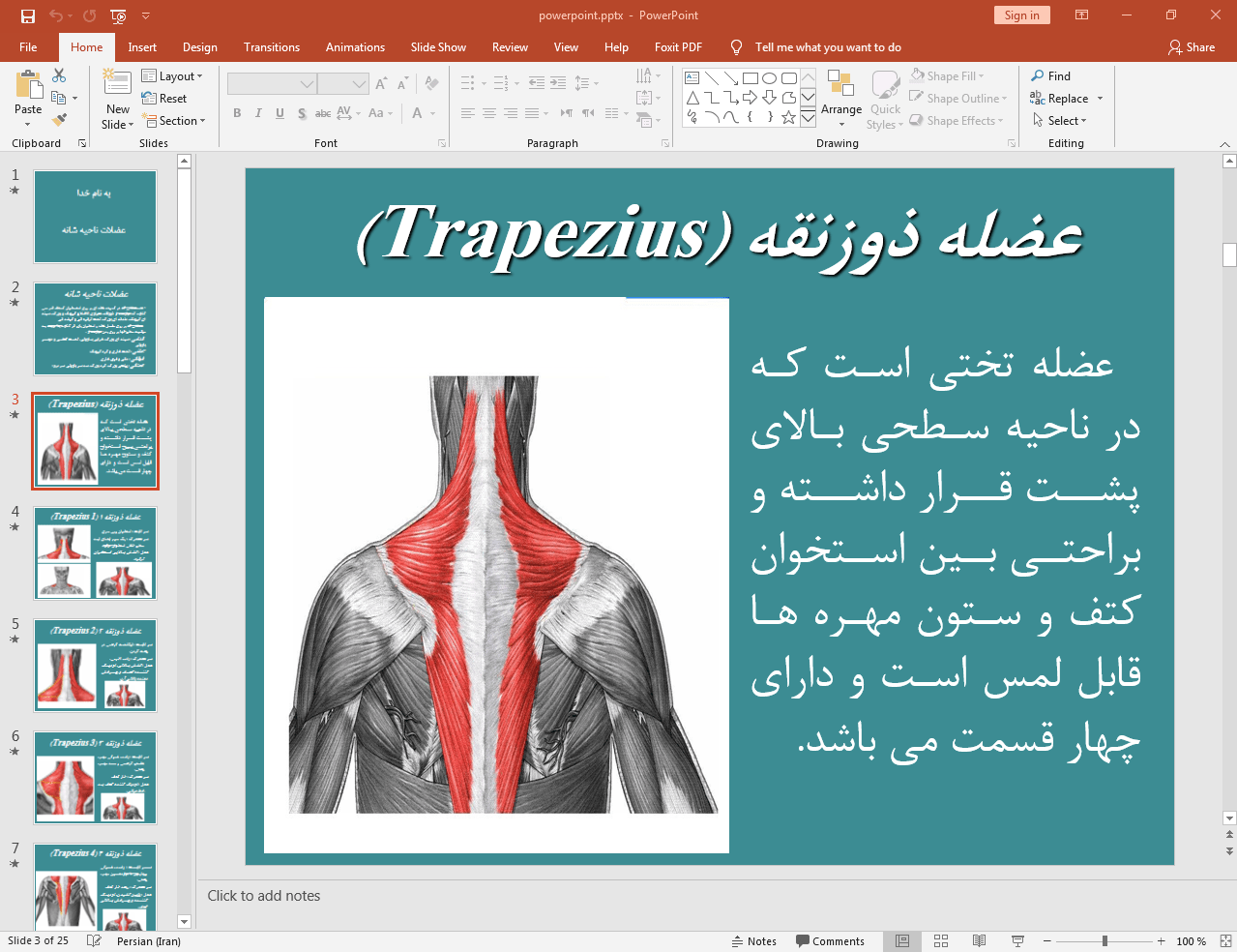 عضلات ناحیه شانه