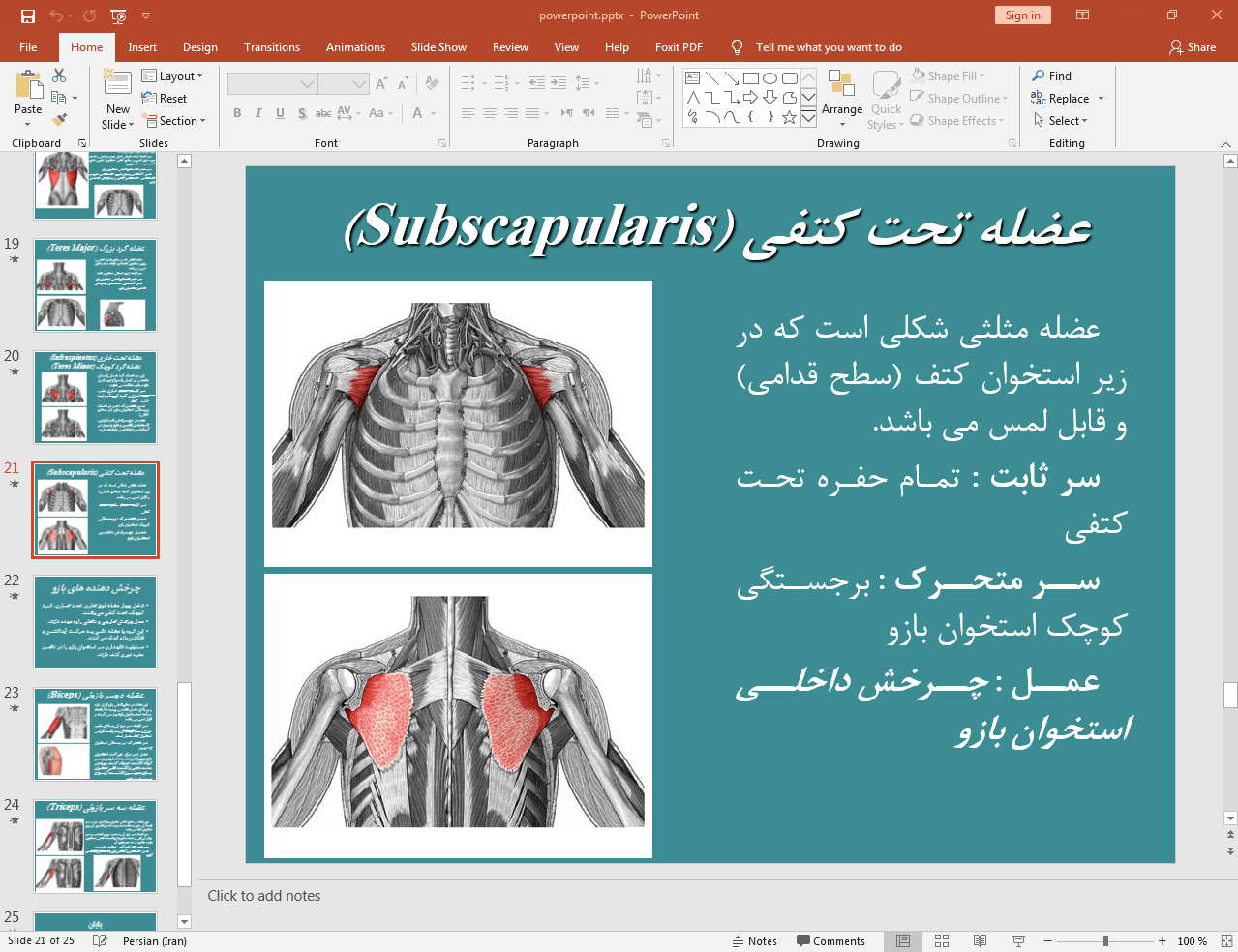 عضله تحت کتفی
