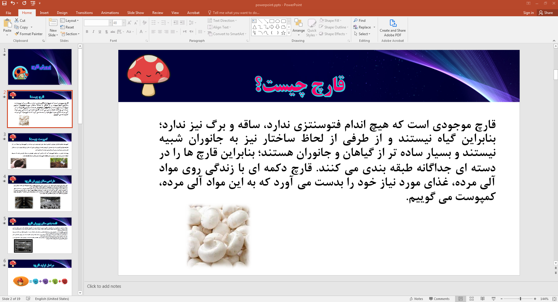قارچ چیست