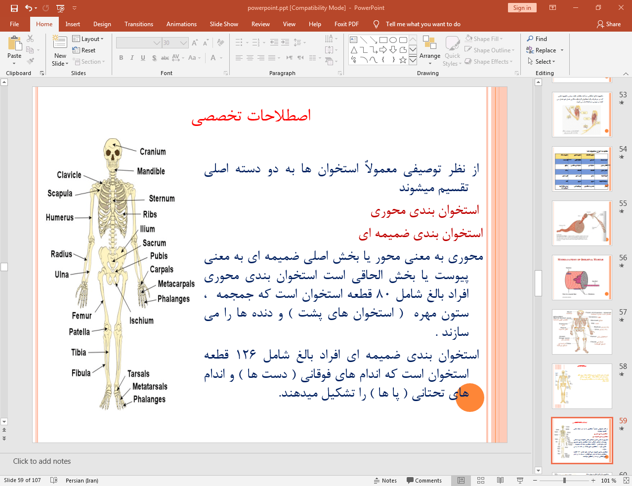 استخوان بندی