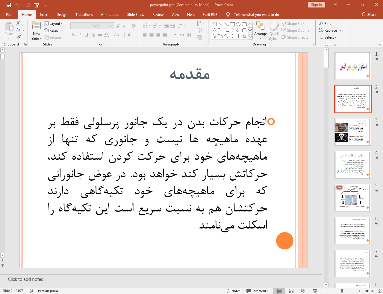 اسکلت