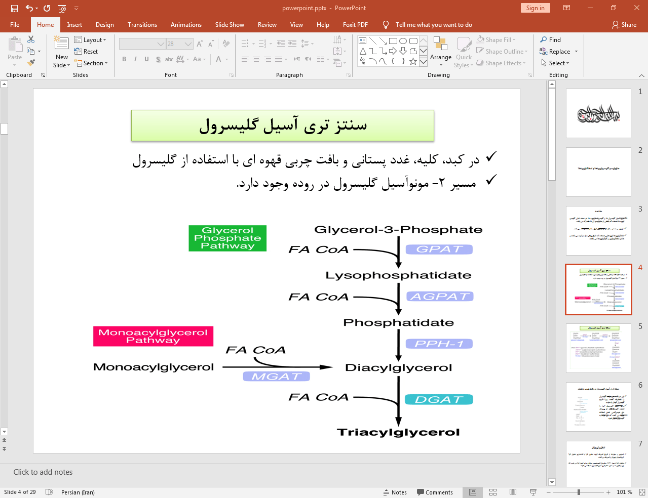 سنتز تری آسیل گلیسرول