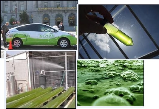 مفهوم بیودیزل یا زیست دیزل (Biodiesel)