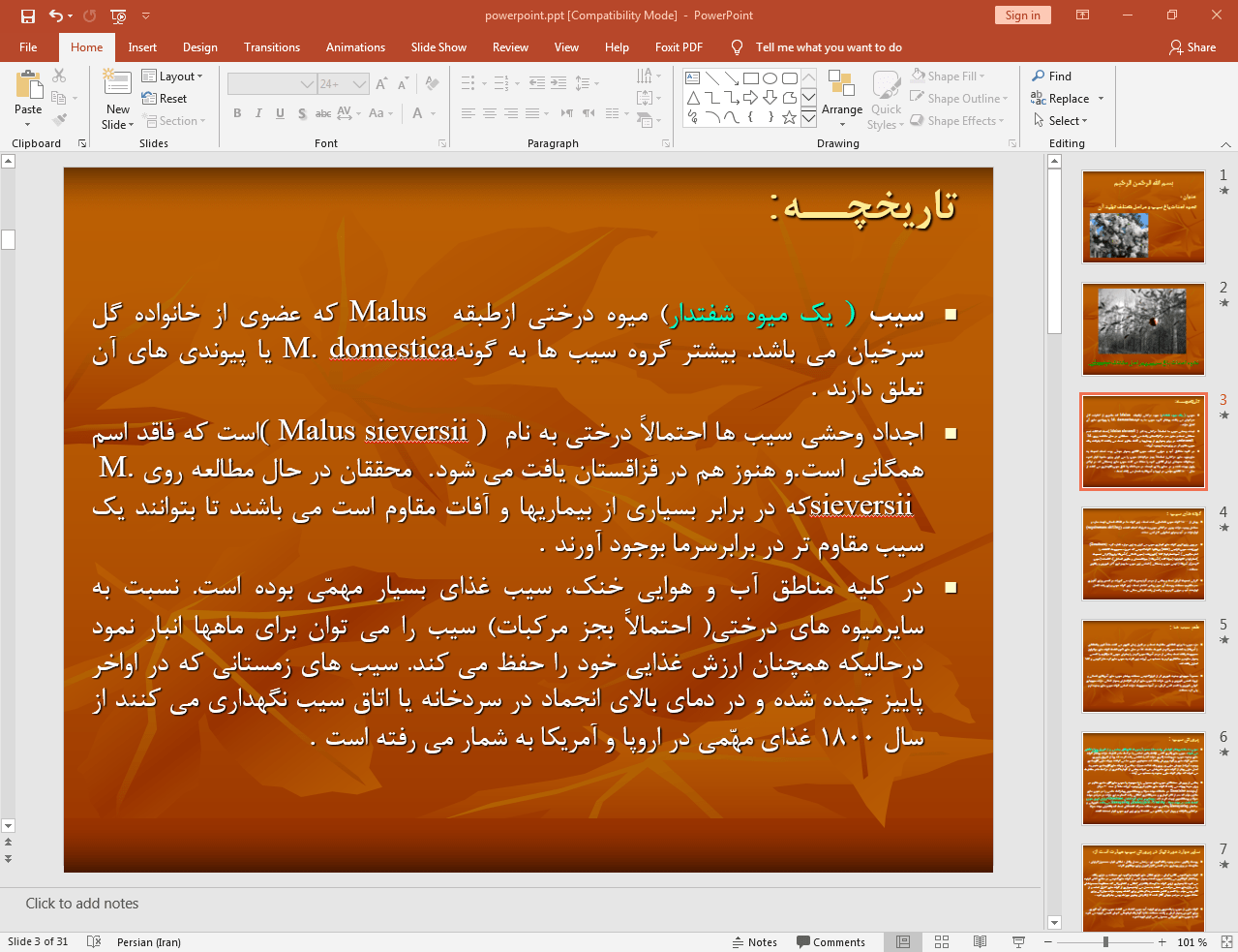 میوه سیب