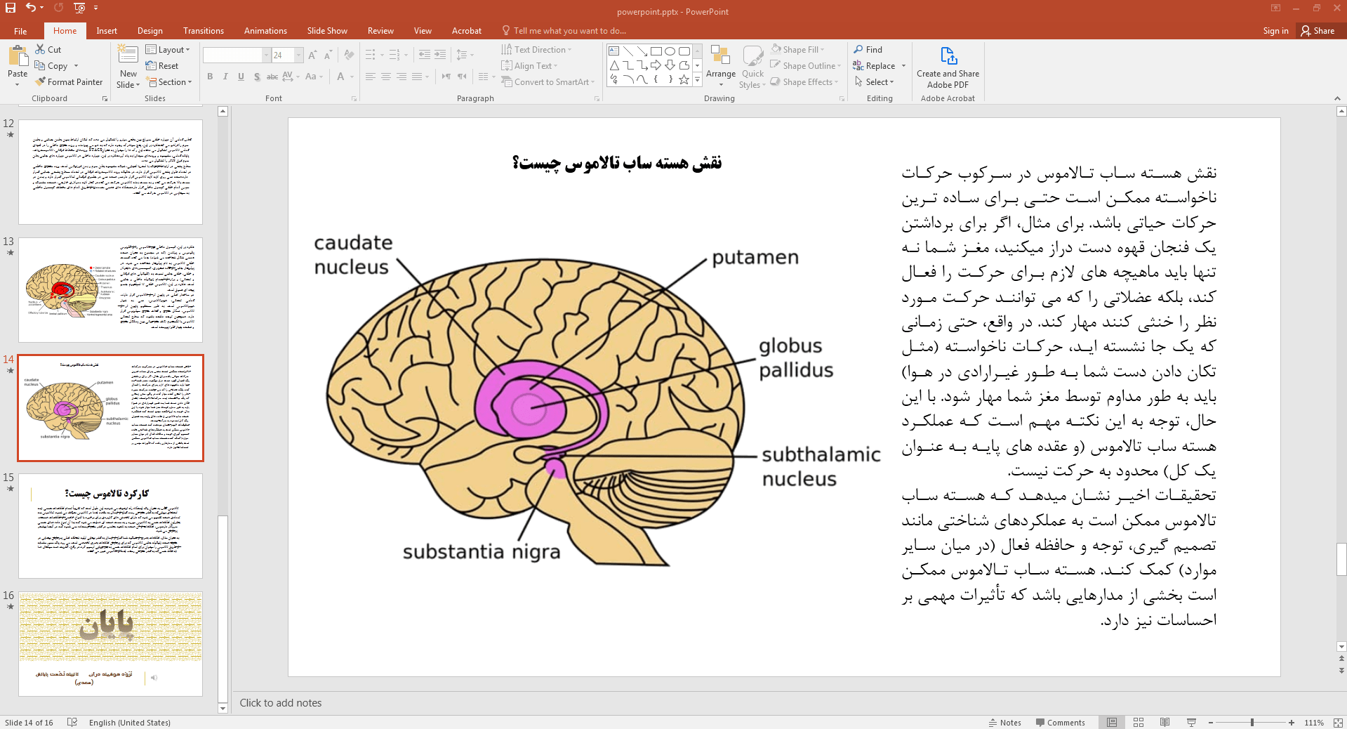 نقش هسته ساب تالاموس چیست