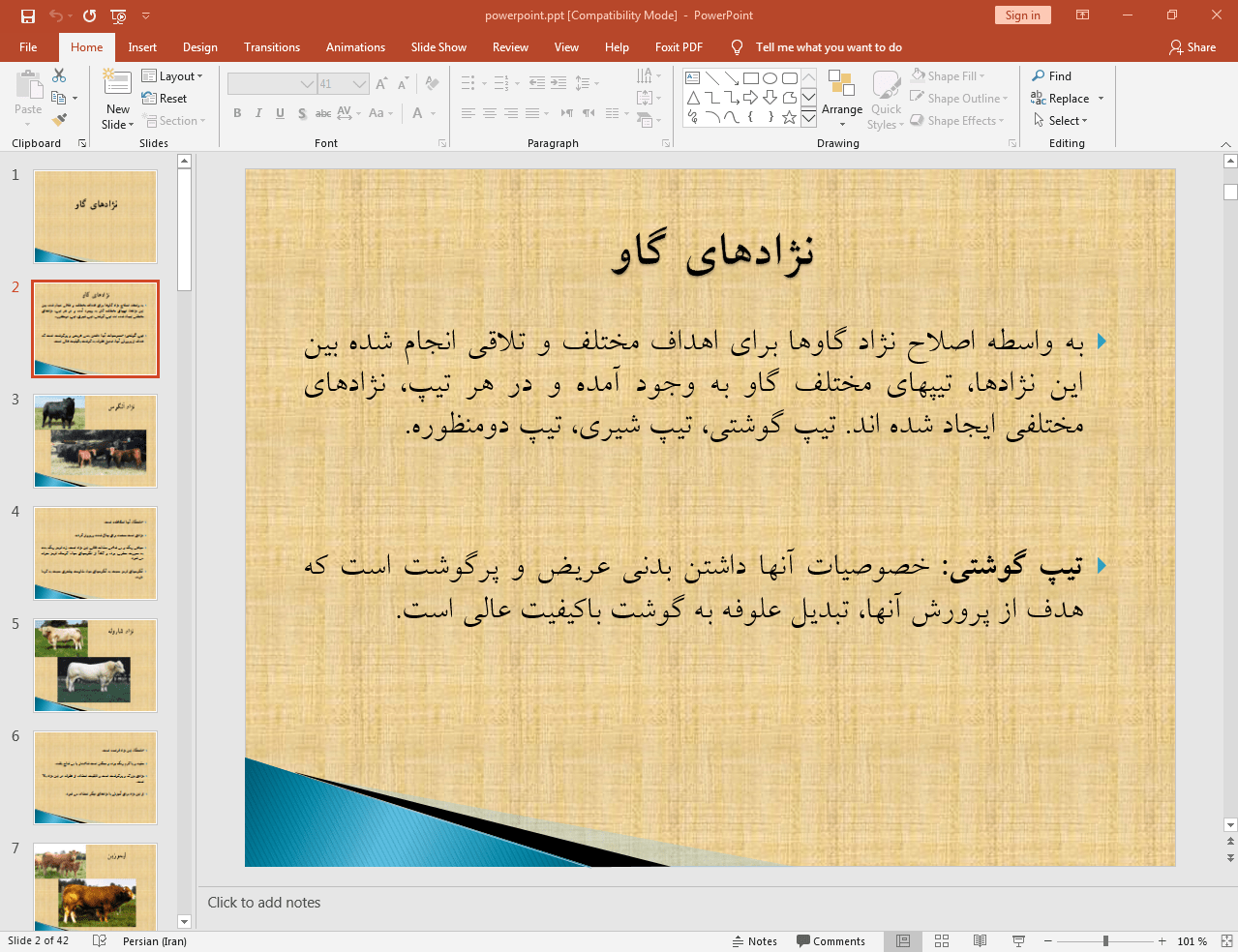 نژادهای گاو