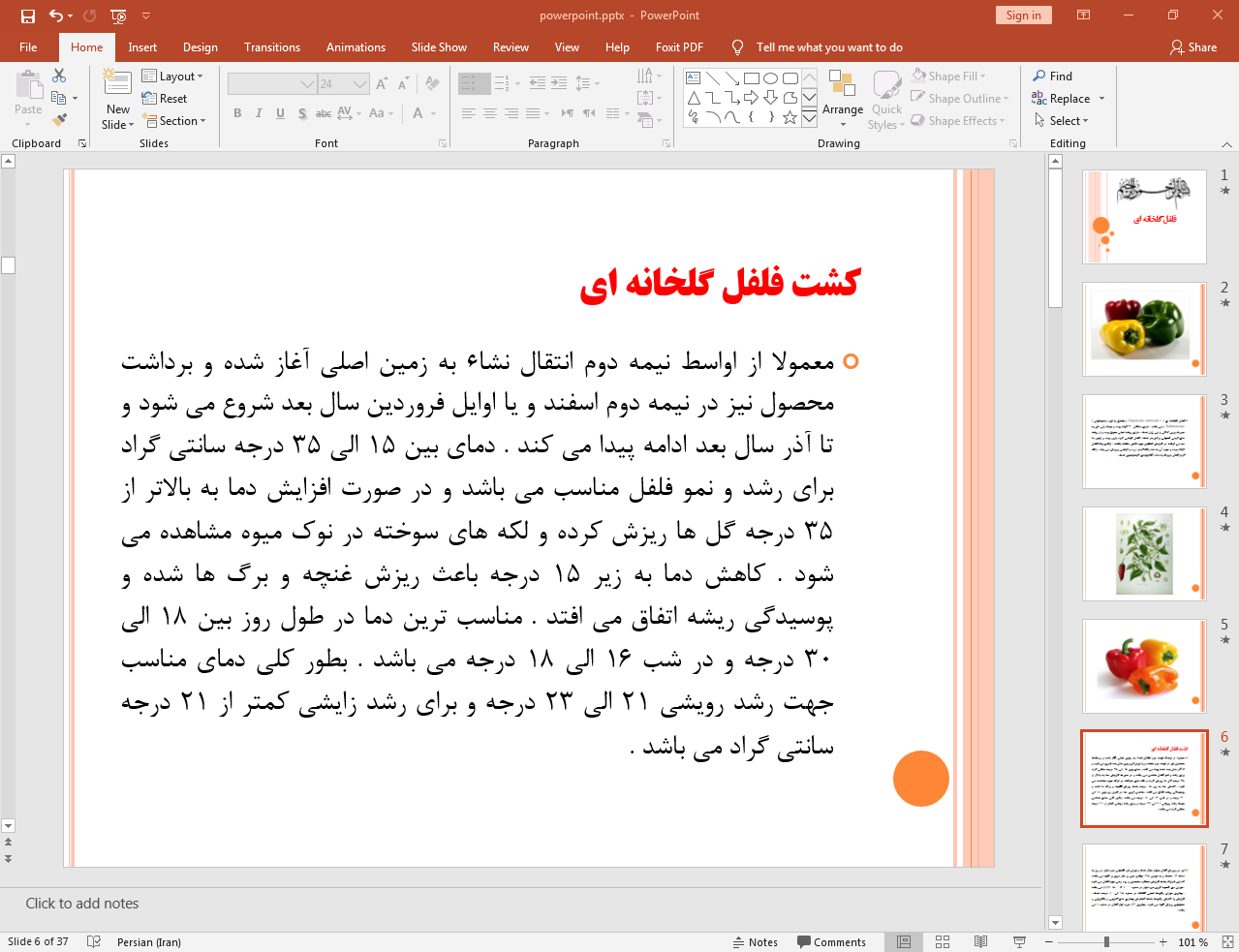 کشت فلفل گلخانه ای