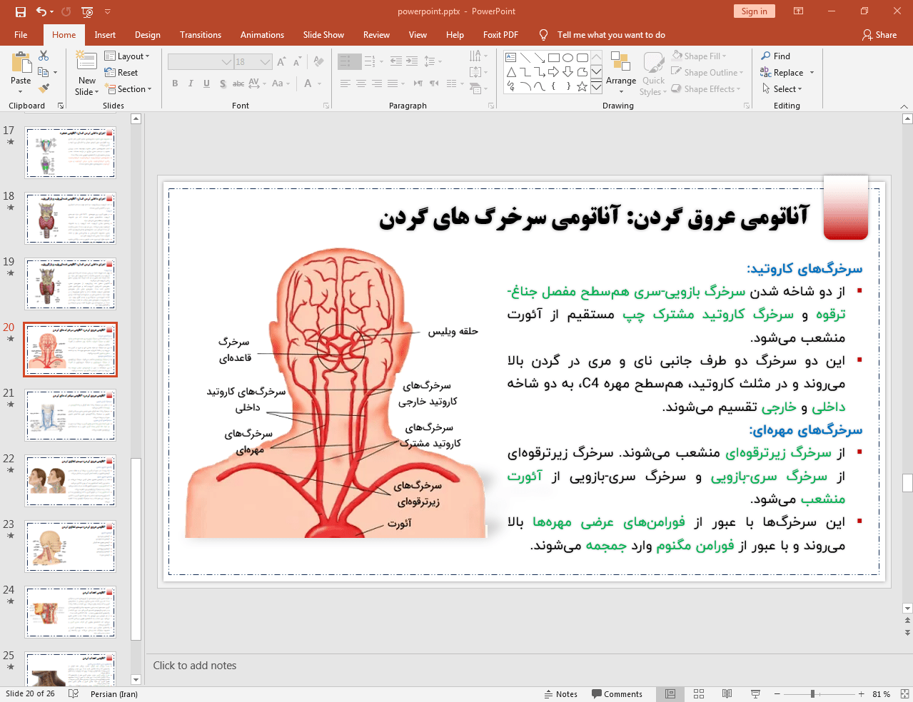 آناتومی