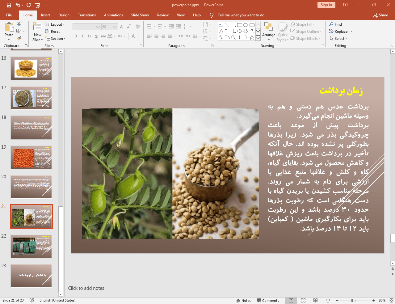 زمان برداشت عدس