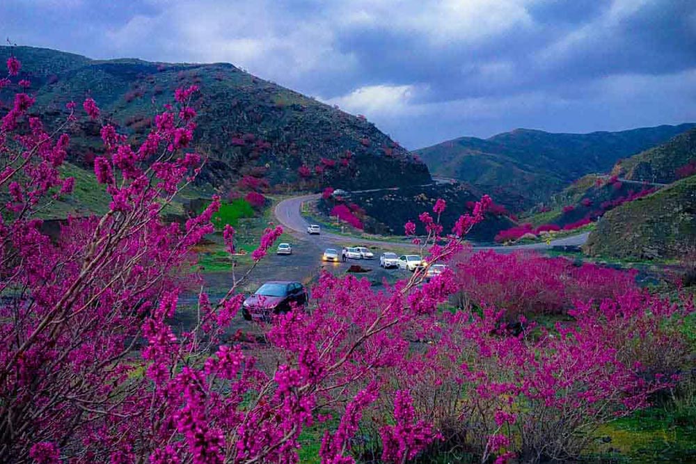 استان مازندران