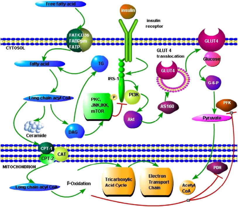 اکسیداسیون