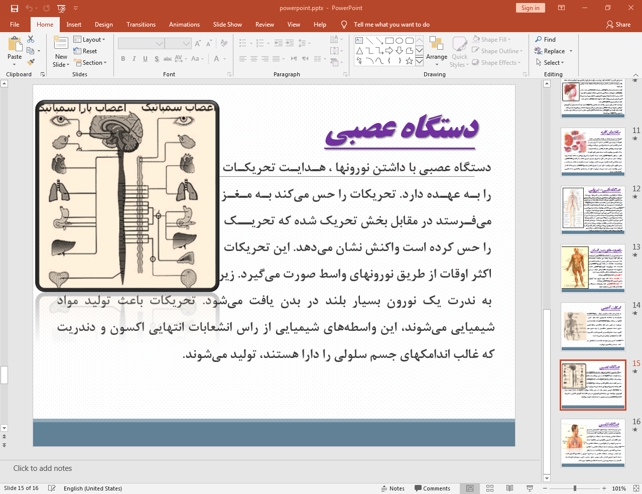 دستگاه عصبی