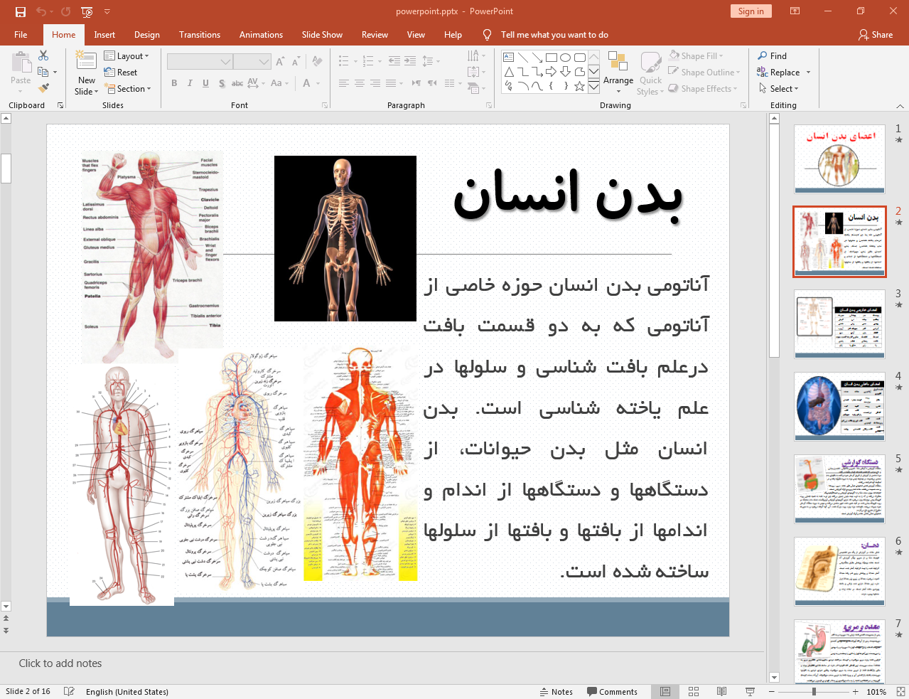 شناخت اعضای بدن انسان